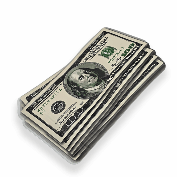 100 dollar bill Mylar Bag